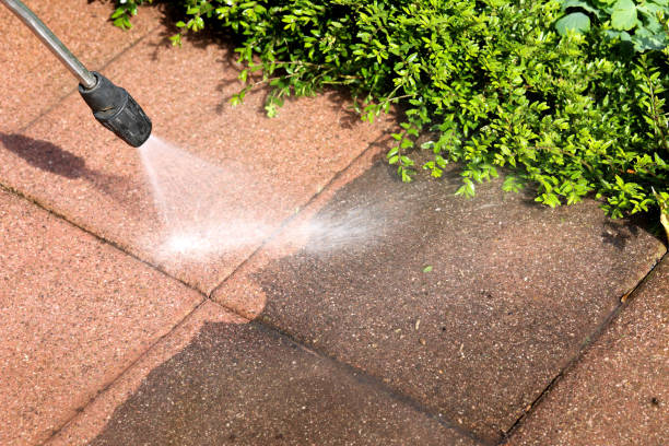 Best Pressure Washing Near Me  in Parma, ID